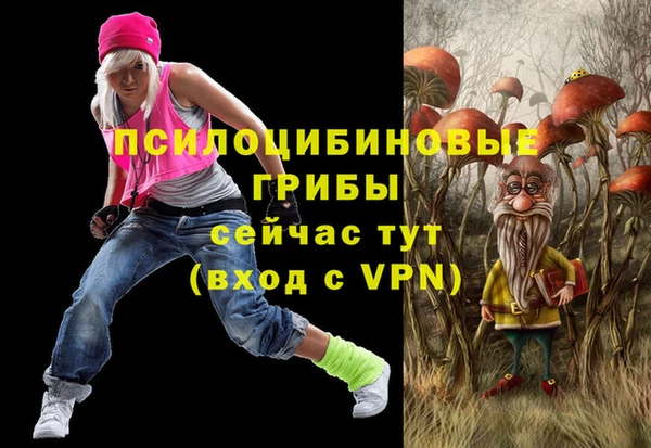 МДМА Белокуриха