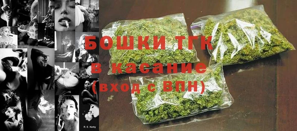 стаф Балахна