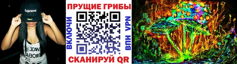 где купить наркоту Мглин OMG как зайти Галлюциногенные грибы GOLDEN TEACHER